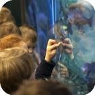 Проблемы уникального музея-аквариума в Хабаровске